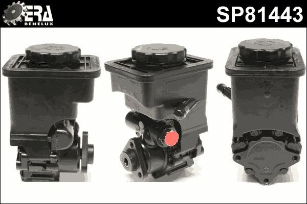 SP81443 ERA Benelux